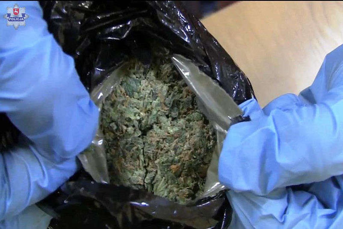 Marihuana w samochodzie. Trzech mężczyzn w areszcie (wideo) Marihuana w samochodzie. Trzech mężczyzn w areszcie (wideo)