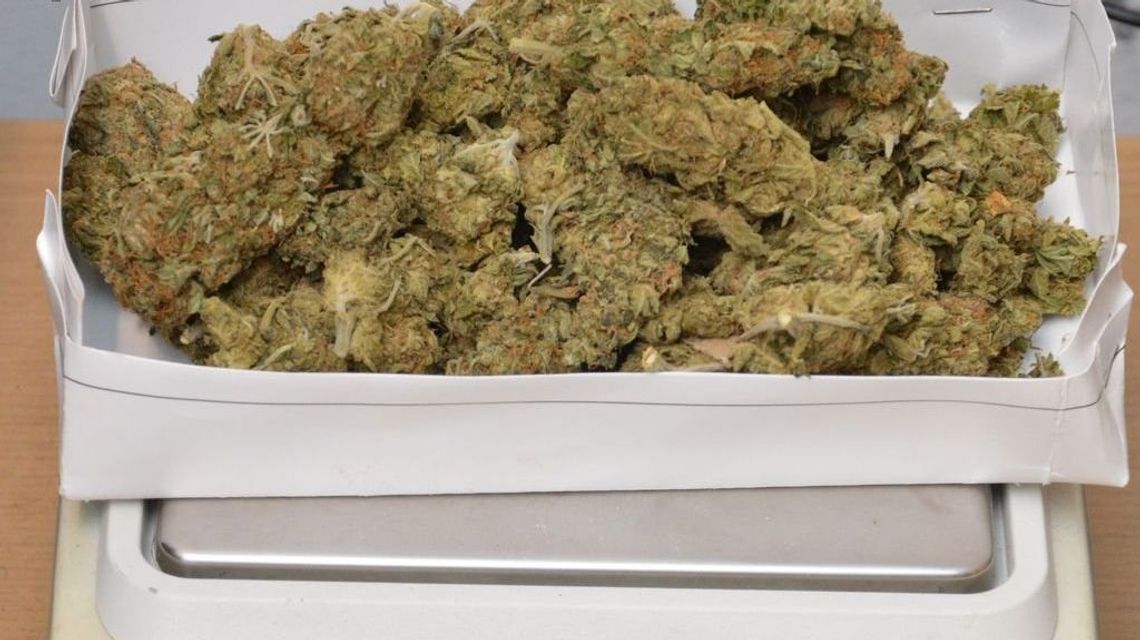 Marihuanę przechowywał w pryzmie obornika