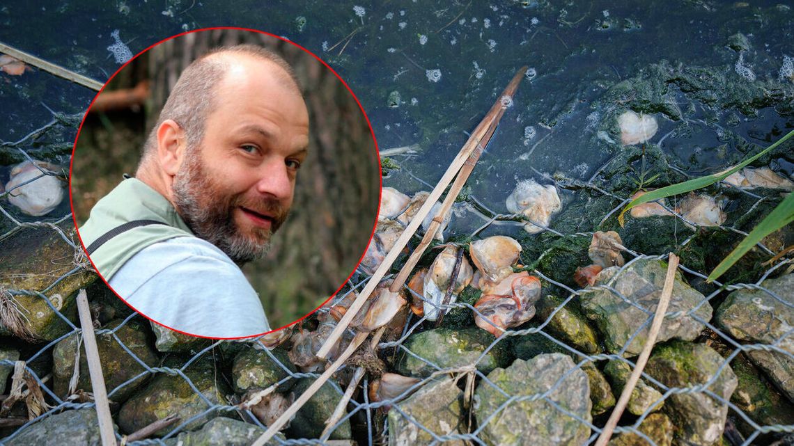 Martwe małże w Zalewie Zemborzyckim. To będzie się powtarzać? Martwe małże w Zalewie Zemborzyckim. To będzie się powtarzać?