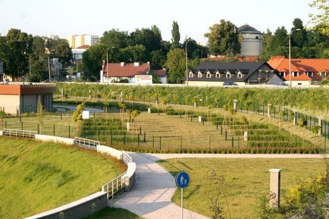 Martwica na Marinie. Dlaczego ziemia nie jest żyzna?