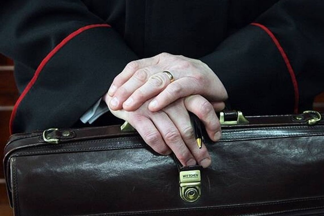 Martwy łoś w prokuraturze Martwy łoś w prokuraturze