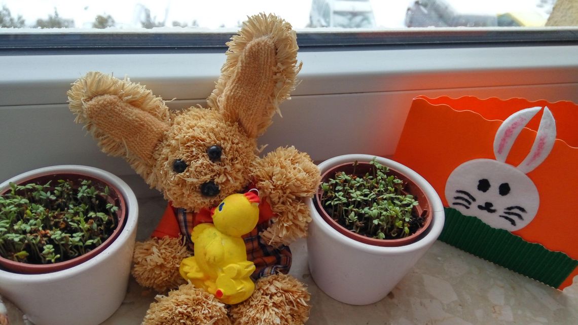 Marzena i Grzegorz: "To ciężki czas dla nas wszystkich". Jak spędzacie święta? Marzena i Grzegorz: "To ciężki czas dla nas wszystkich". Jak spędzacie święta?