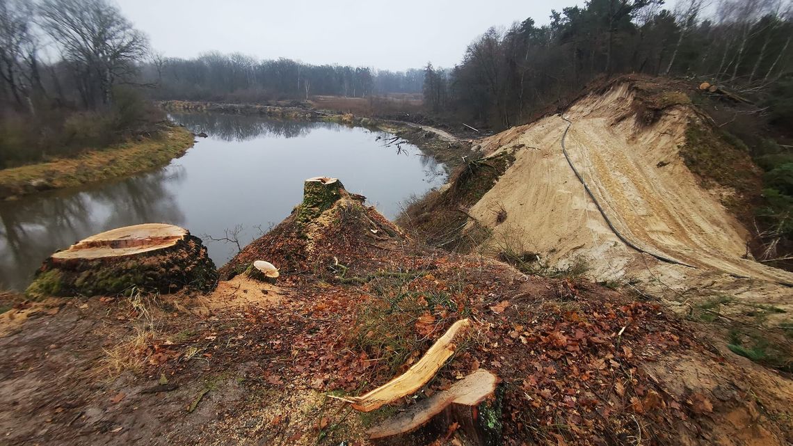 Masakra nad Bugiem. Radny PiS pyta, gdzie są ekolodzy Masakra nad Bugiem. Radny PiS pyta, gdzie są ekolodzy