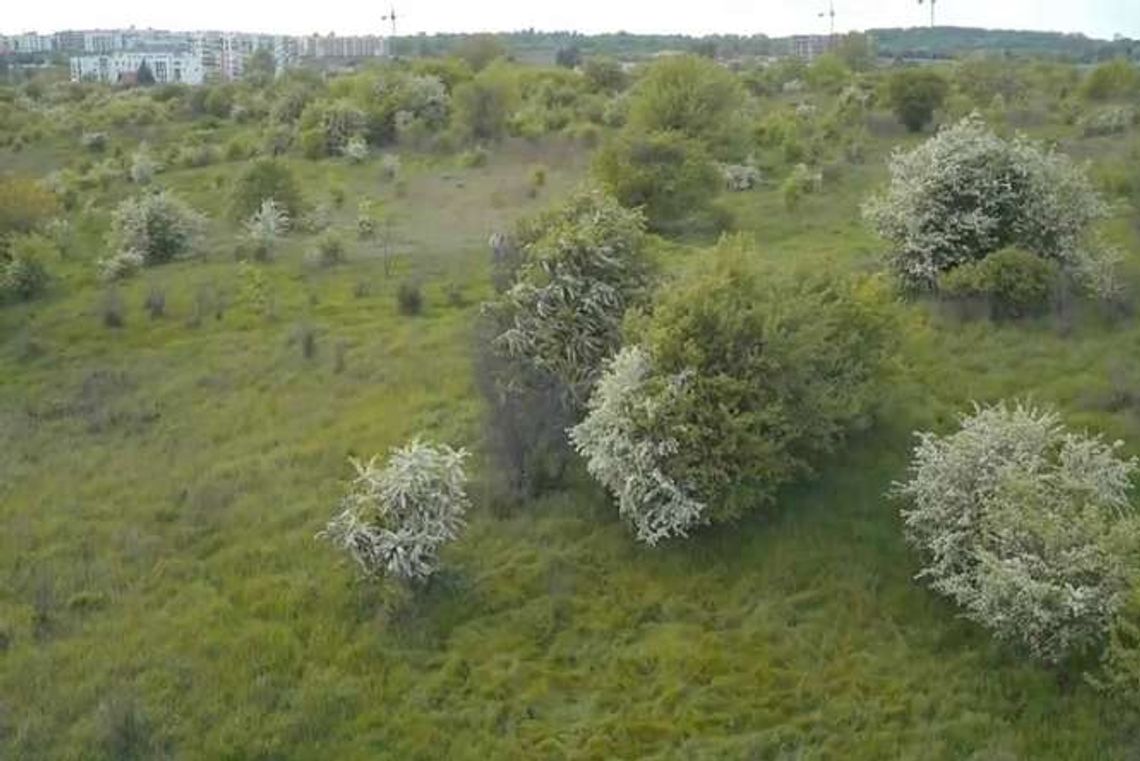 Masowe groby na górkach czechowskich? IPN: nie ma na to dowodów Masowe groby na górkach czechowskich? IPN: nie ma na to dowodów