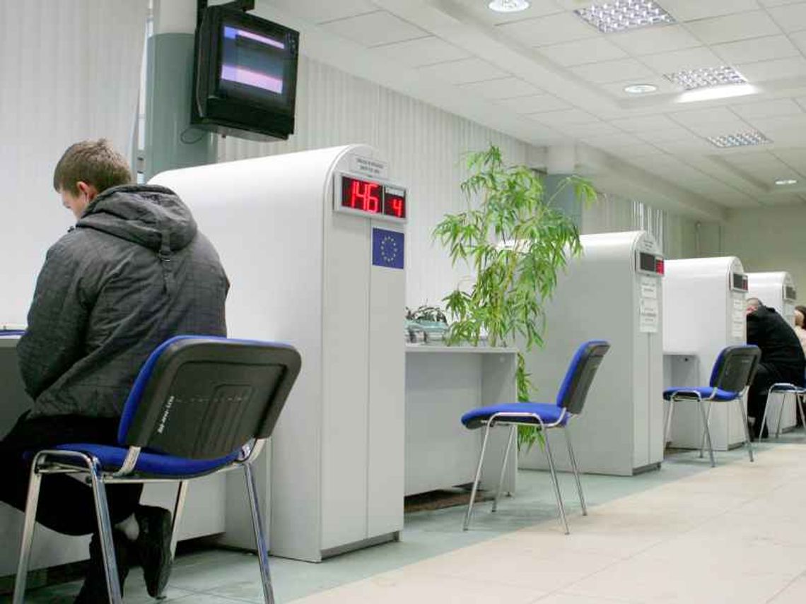 Masz umowę o dzieło? Ubezpiecz się dobrowolnie