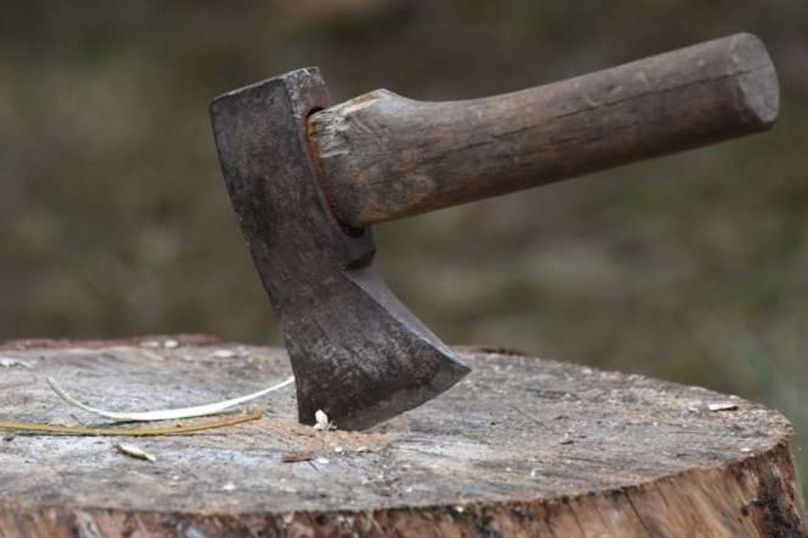 Mąż tłukł żonę siekierą po głowie. Przeżyła, bo udawała, że nie żyje Mąż tłukł żonę siekierą po głowie. Przeżyła, bo udawała, że nie żyje