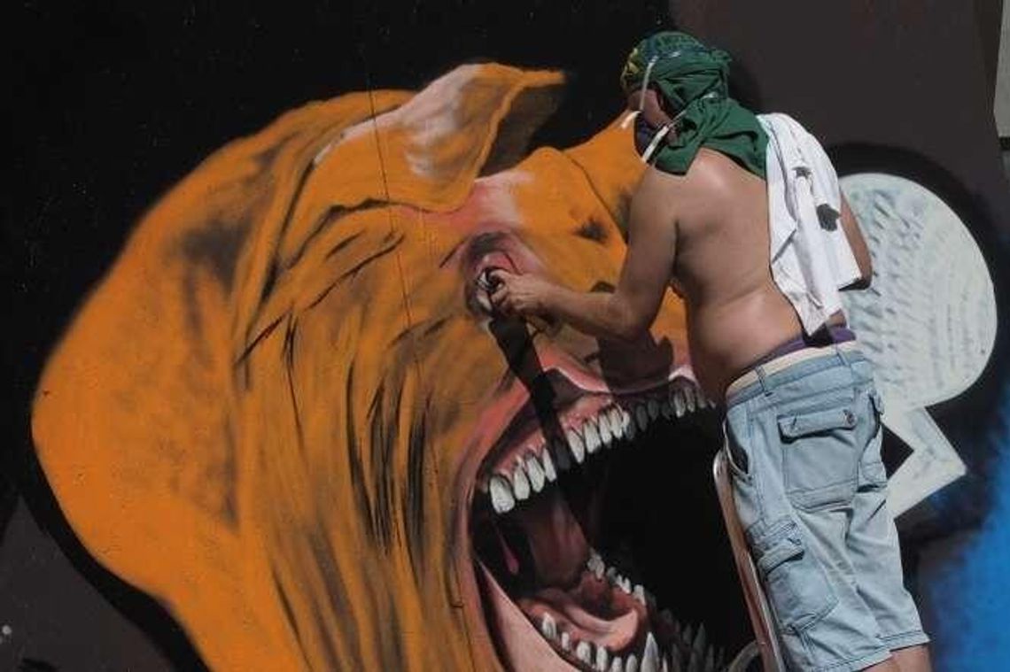 Meeting of Styles. 60 artystów graffiti w Lublinie (zdjęcia)