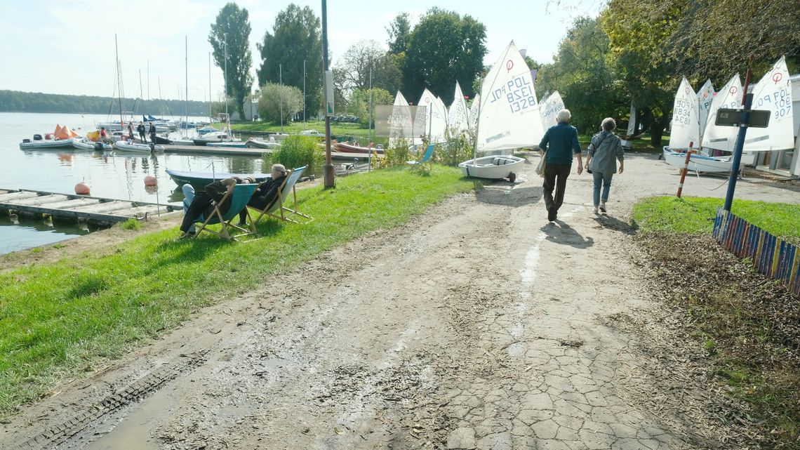 Metamorfoza nad Zalewem Zemborzyckim