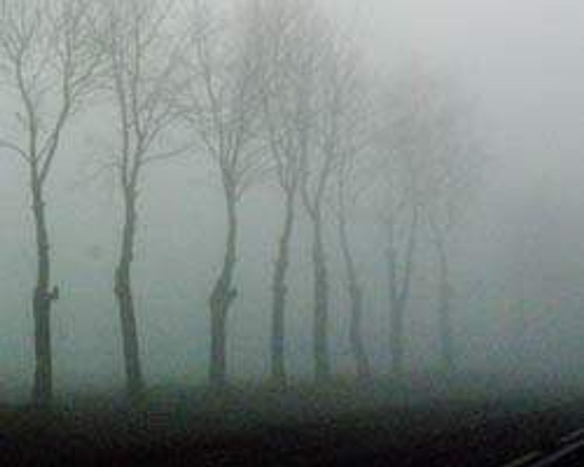 Mgły na Roztoczu (nr 75) - 0 głosów