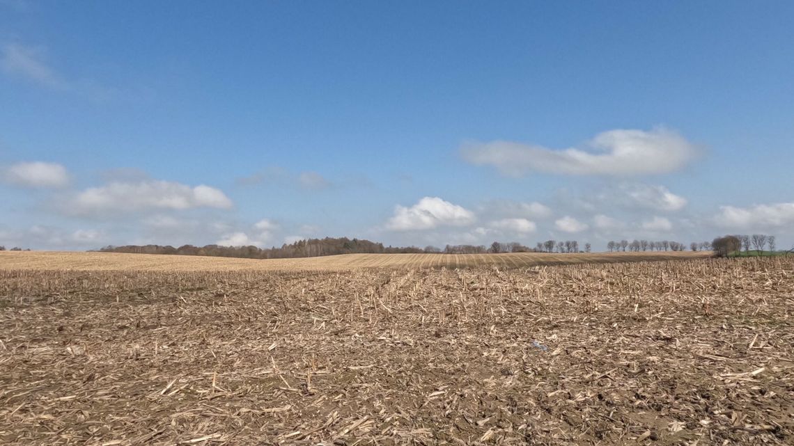 Mgły nad Lubelszczyzną. Wyjątkowe zdjęcia
