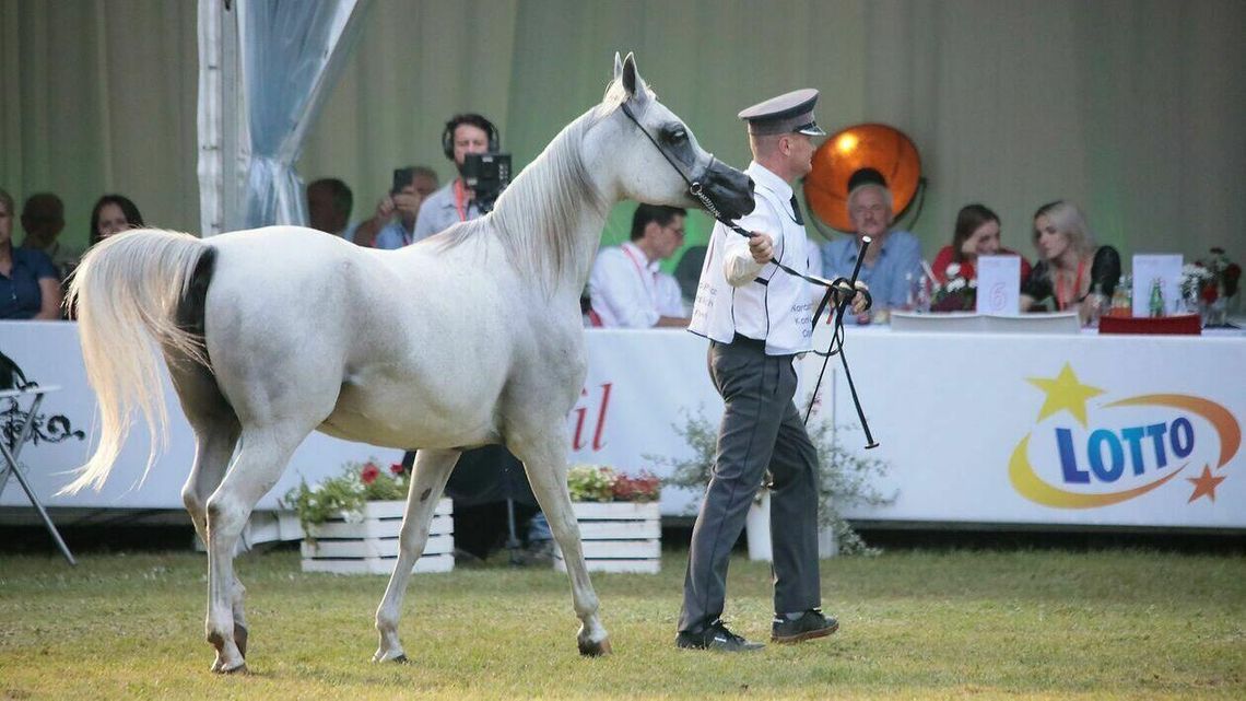 Miał być sukces Pride of Poland, a jest niezapłacona faktura na milion euro 