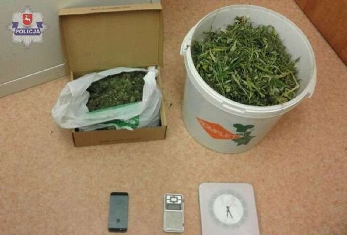 Miał kilogram marihuany w domu. 30-latek w areszcie