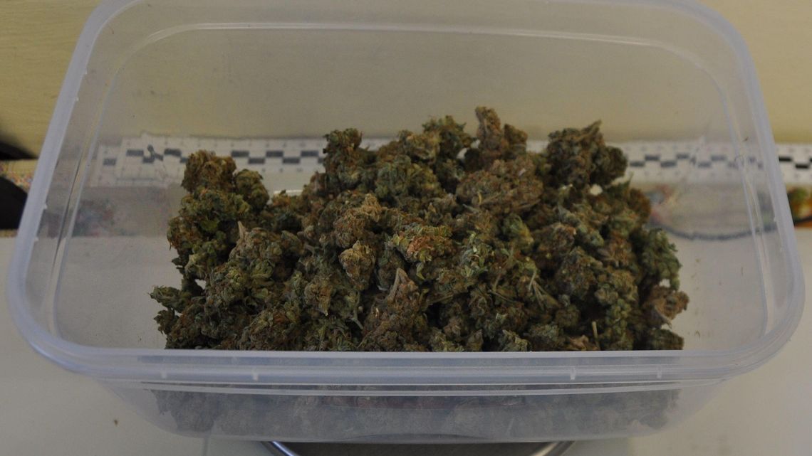 Miał skrytkę w garażu. 28-latek odpowie za posiadanie "znacznych ilości" narkotyków