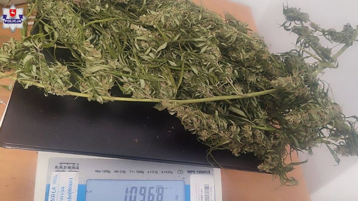 Miał tego sporo. Policja znalazła narkotyczny susz 