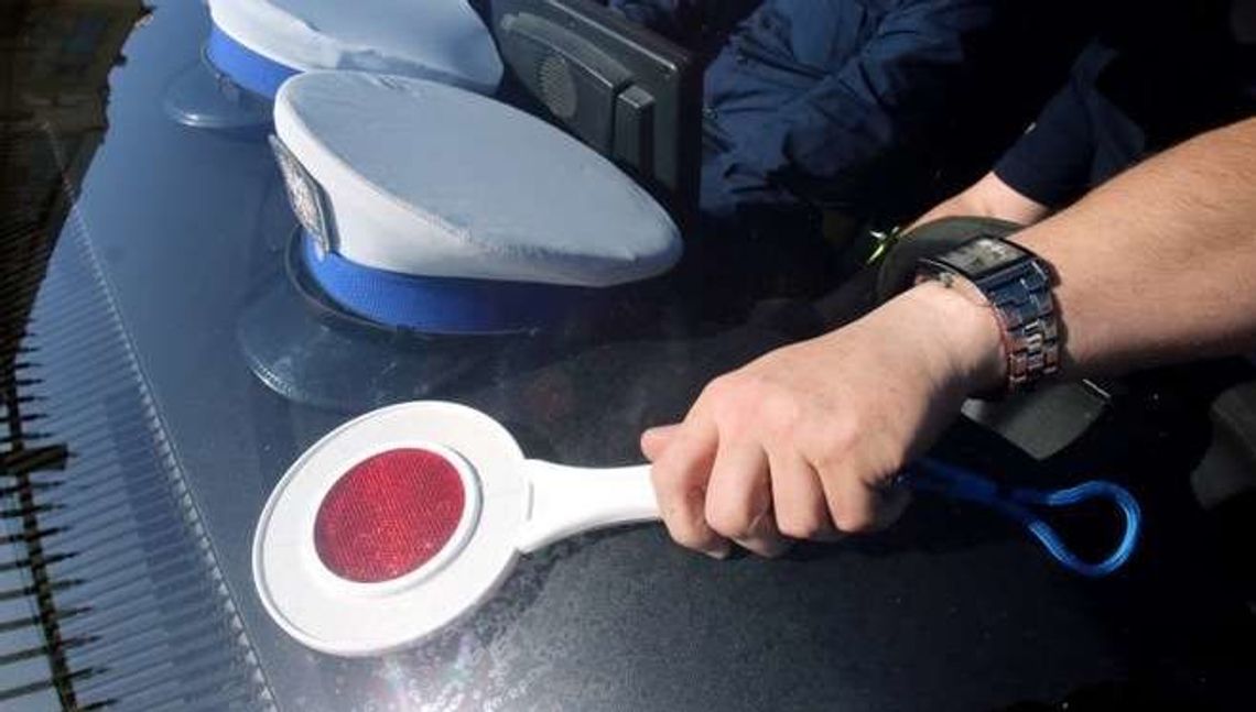 Miał trzy promile i rozbił się na drzewie. Winę zgonił na sarnę