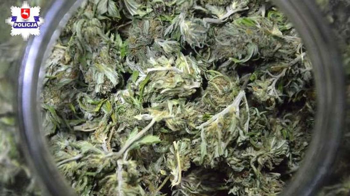 Miał w domu 2,5 kilograma marihuany. Policjanci znaleźli coś jeszcze Miał w domu 2,5 kilograma marihuany. Policjanci znaleźli coś jeszcze