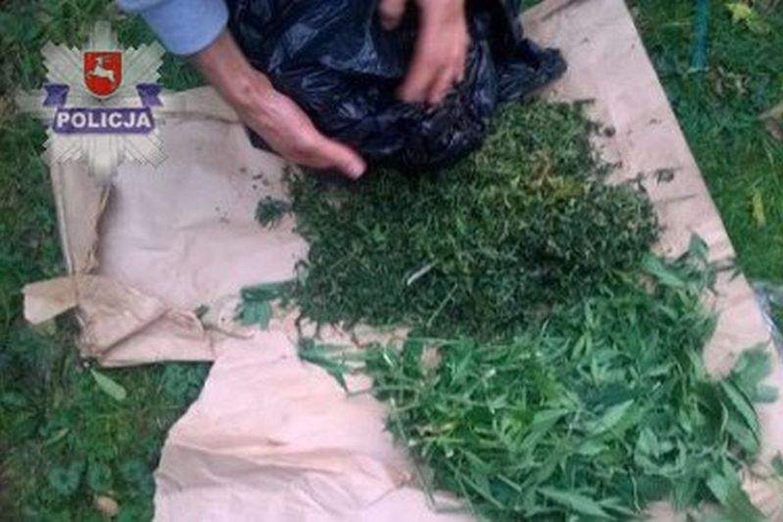 Miał w domu linię technologiczną do uprawy konopi Miał w domu linię technologiczną do uprawy konopi