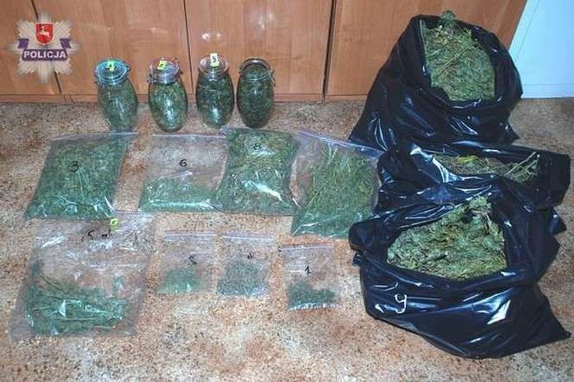Miał w domu prawie 4 kilogramy marihuany (wideo)