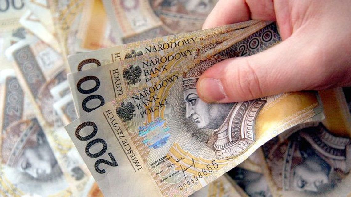 Miała być praca za granicą, okazało się coś innego. Musieli kraść