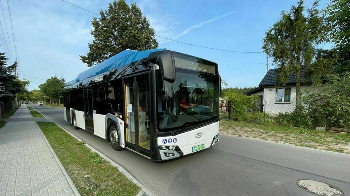 Miasto chce kupić elektryczne autobusy. I to od razu aż tyle 
