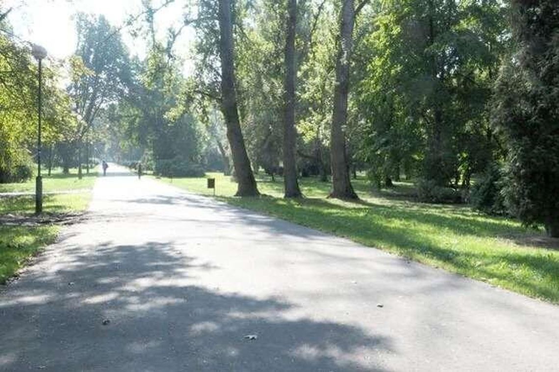 Miasto chce odnowić park Ludowy. Prace pochłoną ok. 18 mln zł