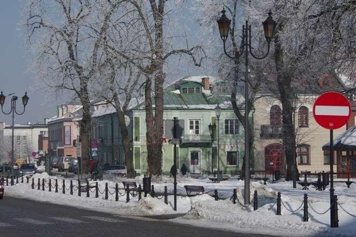 Miasto chce wyciąć prawie wszystkie drzewa z rynku. Obrońcy: A pielęgnacja i leczenie?