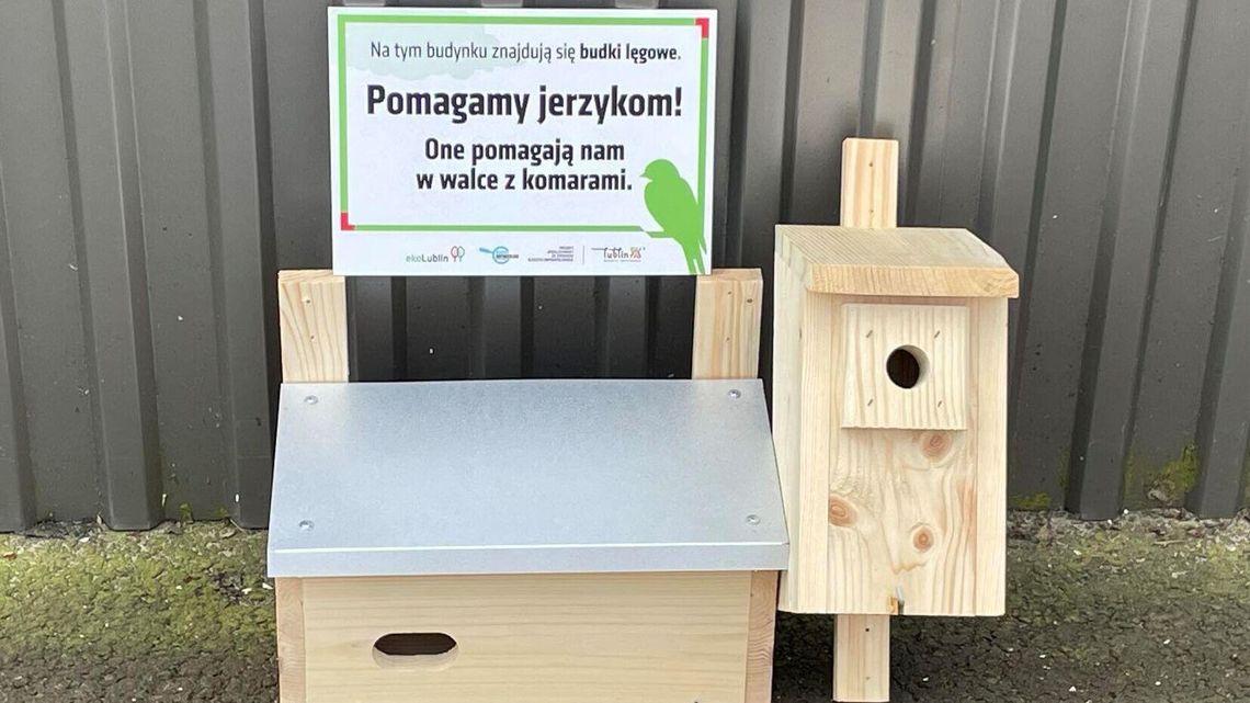 Miasto dba o dzikie zwierzęta. Zaproś do siebie jerzyka Miasto dba o dzikie zwierzęta. Zaproś do siebie jerzyka