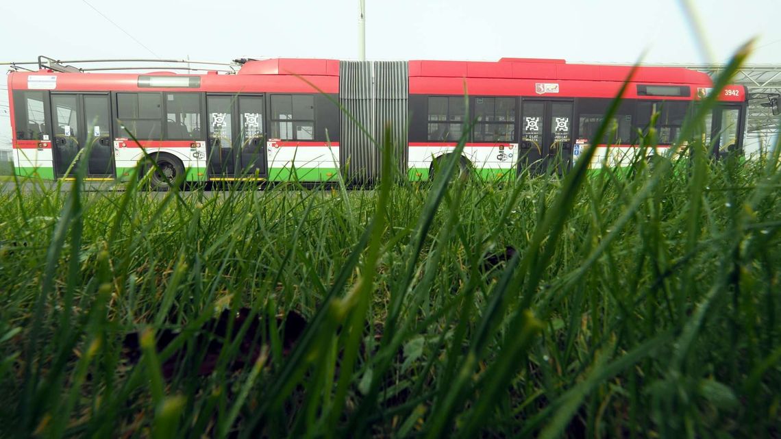 Miasto kupuje kolejne trolejbusy, ale nowych linii nie będzie. W planach budowa 8 km sieci Miasto kupuje kolejne trolejbusy, ale nowych linii nie będzie. W planach budowa 8 km sieci