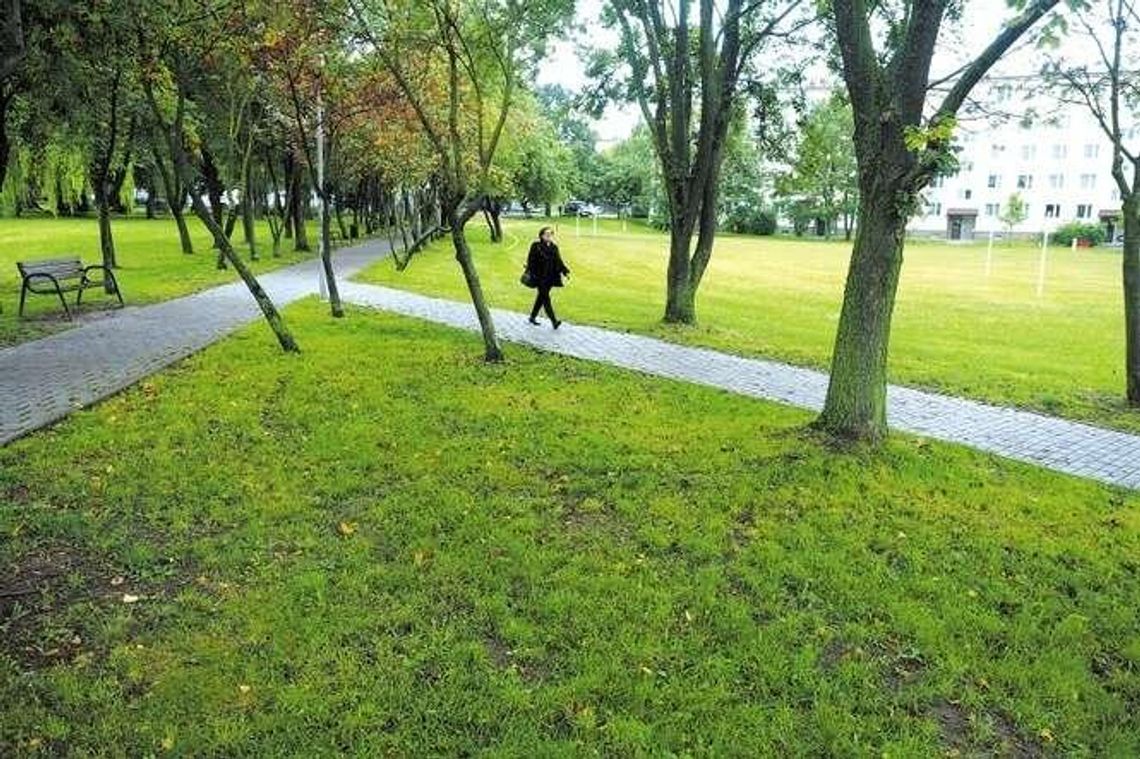 Miasto musi oddać część skweru przy ul. Romera. Ten spór ciągnął się latami Miasto musi oddać część skweru przy ul. Romera. Ten spór ciągnął się latami