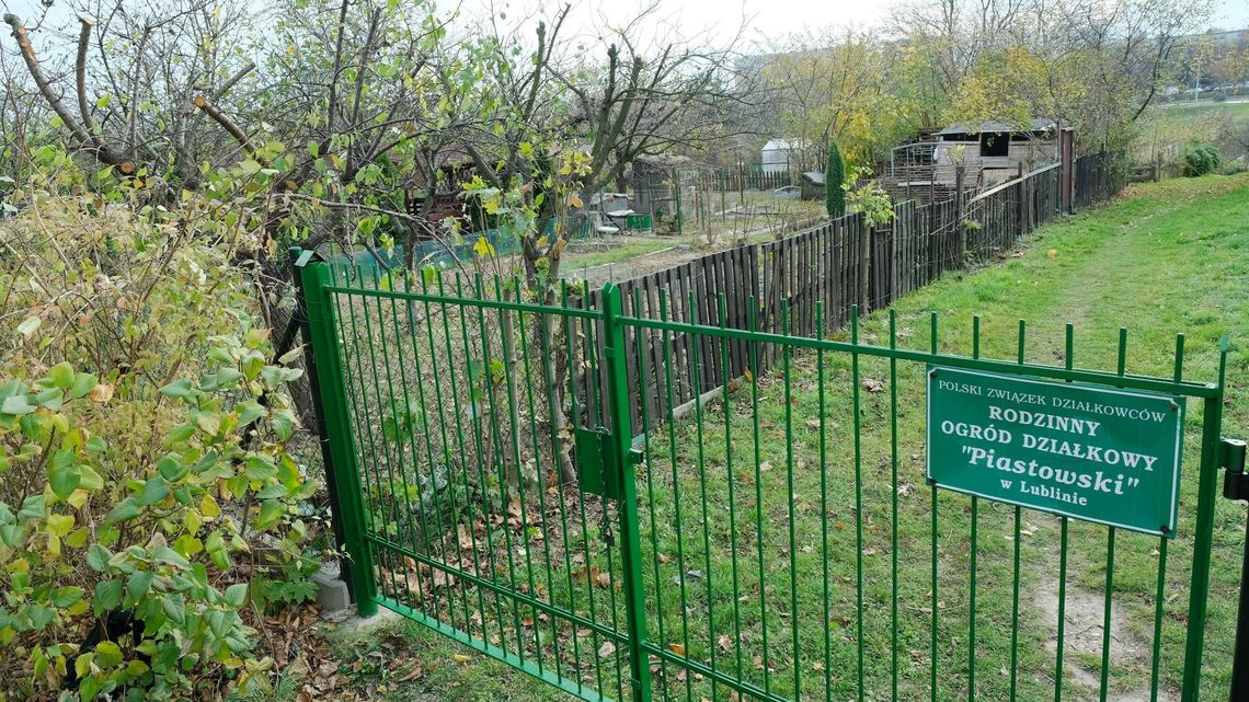 Miasto musi oddać działkę koło hali Globus. Działa tam Rodzinny Ogród Działkowy „Piastowski”