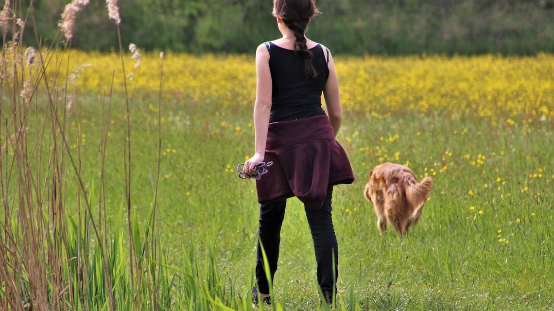 Miasto przypomina mieszkańcom: Po psie trzeba sprzątać