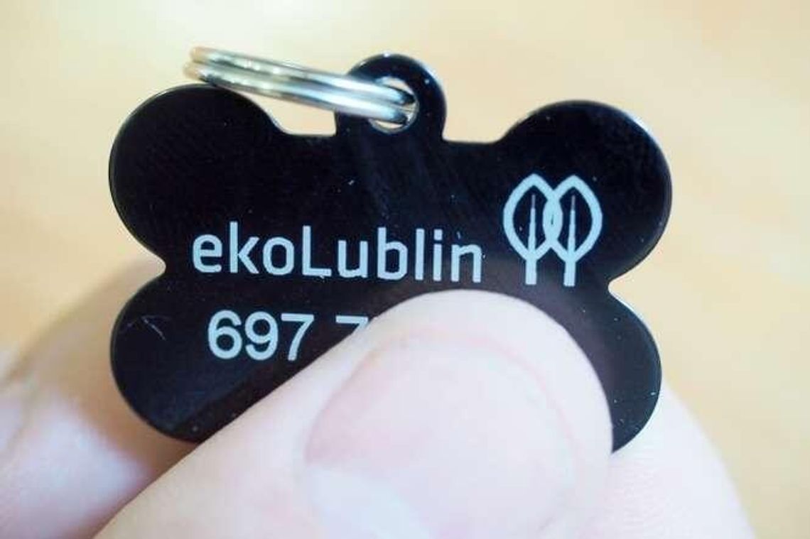 Miasto wyda 25 tys. zł na psie adresówki. Jest na nich logo, nie ma ważnego komunikatu Miasto wyda 25 tys. zł na psie adresówki. Jest na nich logo, nie ma ważnego komunikatu