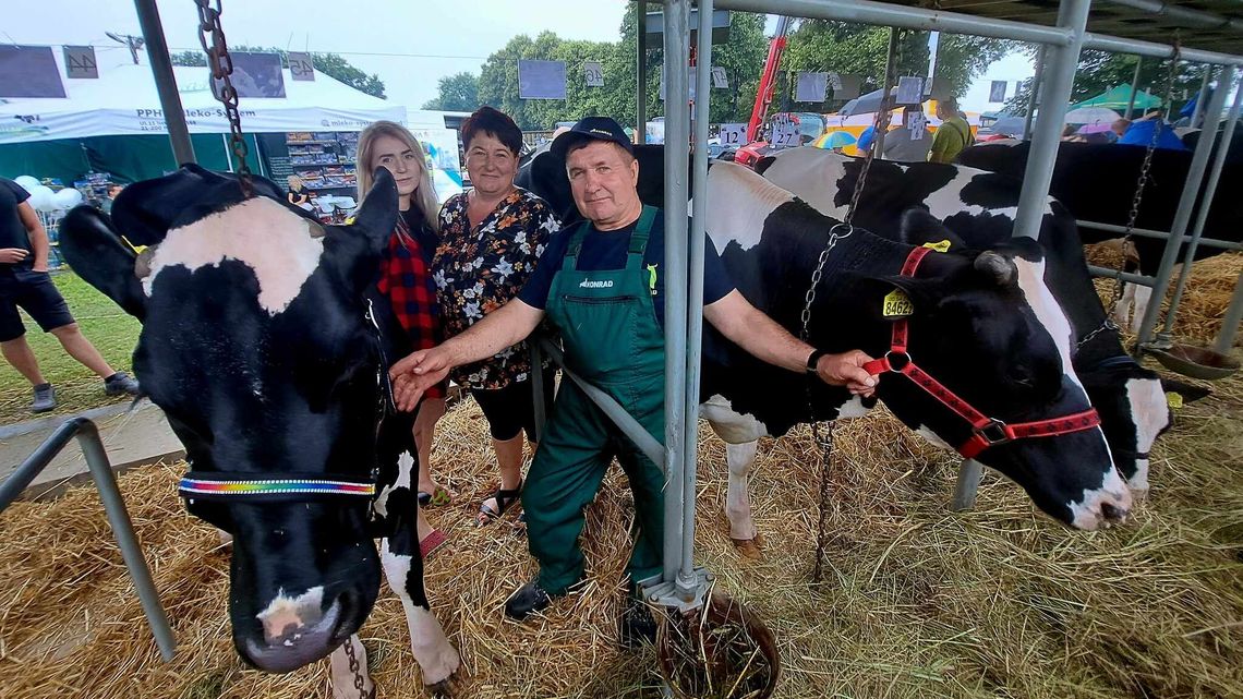 Między jałówką, alpaką, królikiem... Jedyna taka wystawa w Sitnie