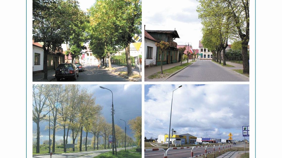 Między nami a drzewami. Wystawa we Włodawie