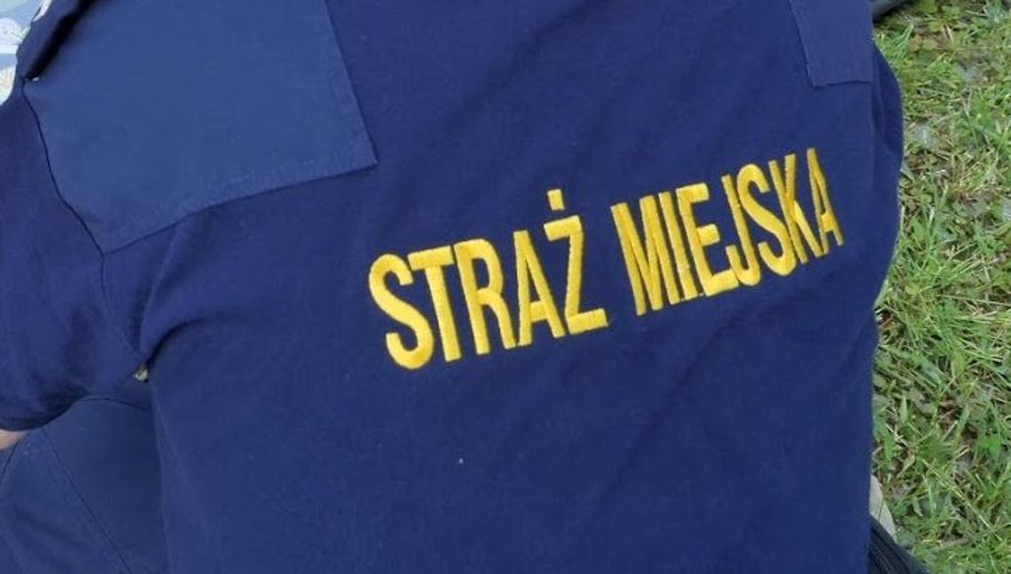 Międzyrzec Podlaski już bez Straży Miejskiej