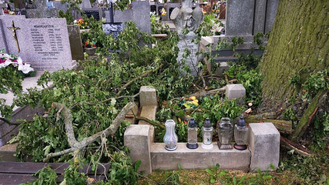  Międzyrzec Podlaski. Przycinali drzewa na cmentarzu, a gałęzie spadały na nagrobki