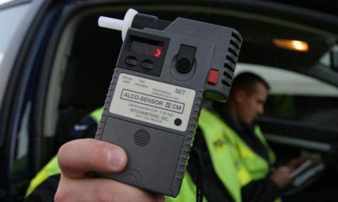 Międzyrzec Podlaski: Rozbił samochód i uciekł do lasu. Wrócił z rozbitą głową