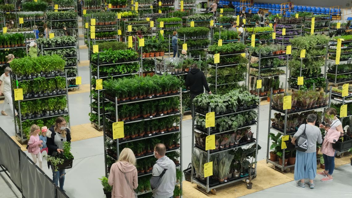 Miejska dżungla w centrum miasta. Przed nami największe targi roślin Miejska dżungla w centrum miasta. Przed nami największe targi roślin