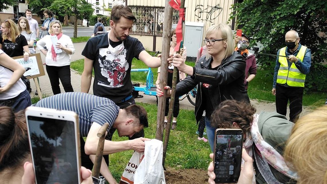 "Miejska partyzantka ogrodnicza". Obrońcy drzew posadzili lipę przy ul. Lipowej [zdjęcia, wideo]