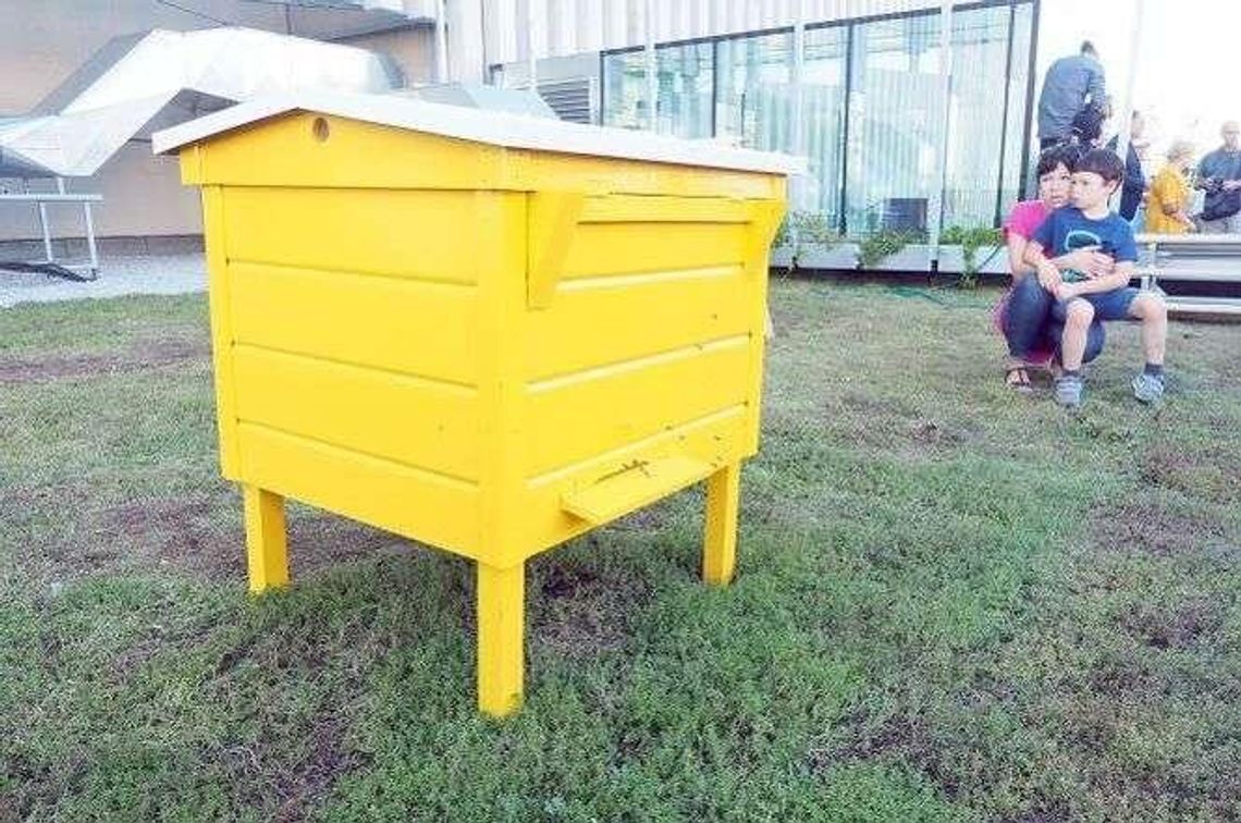 Miejska Pasieka Artystyczna na dachu CSK (zdjęcia)