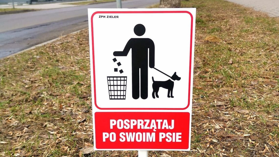 Miejska spółka chce edukować mieszkańców. Chodzi o psie odchody 