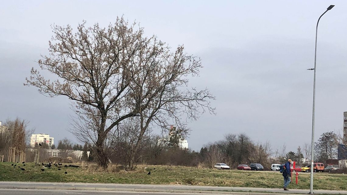 Miejska spółka poszła drogą lex deweloper. Radni stają twardo przeciw nowym blokom Miejska spółka poszła drogą lex deweloper. Radni stają twardo przeciw nowym blokom