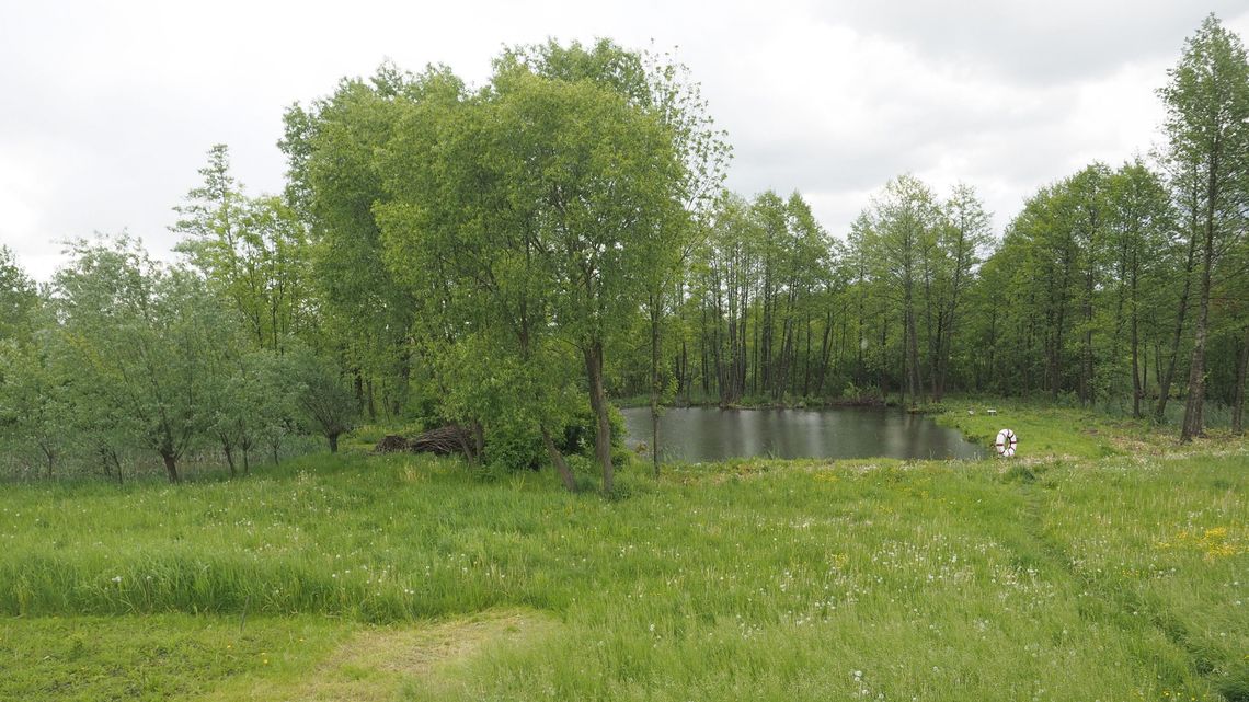 Mieli budować kopalnię w woj. lubelskim. Chcą miliardów odszkodowania od rządu Mieli budować kopalnię w woj. lubelskim. Chcą miliardów odszkodowania od rządu