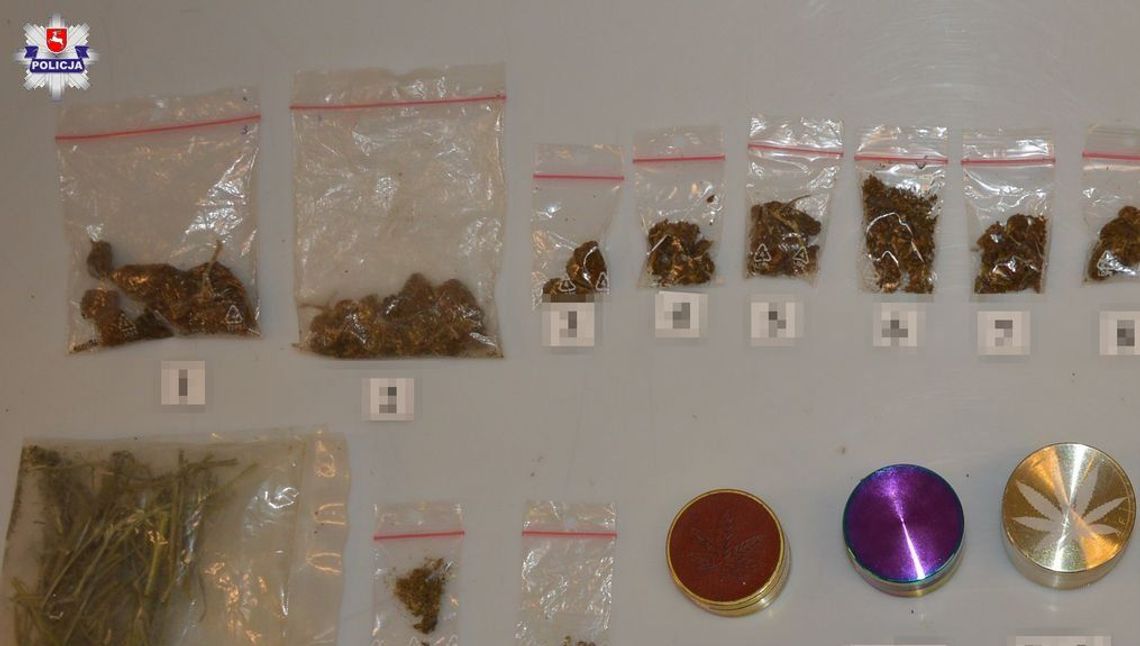 Mieli informacje o narkotykach w mieszkaniu. Potwierdziły się
