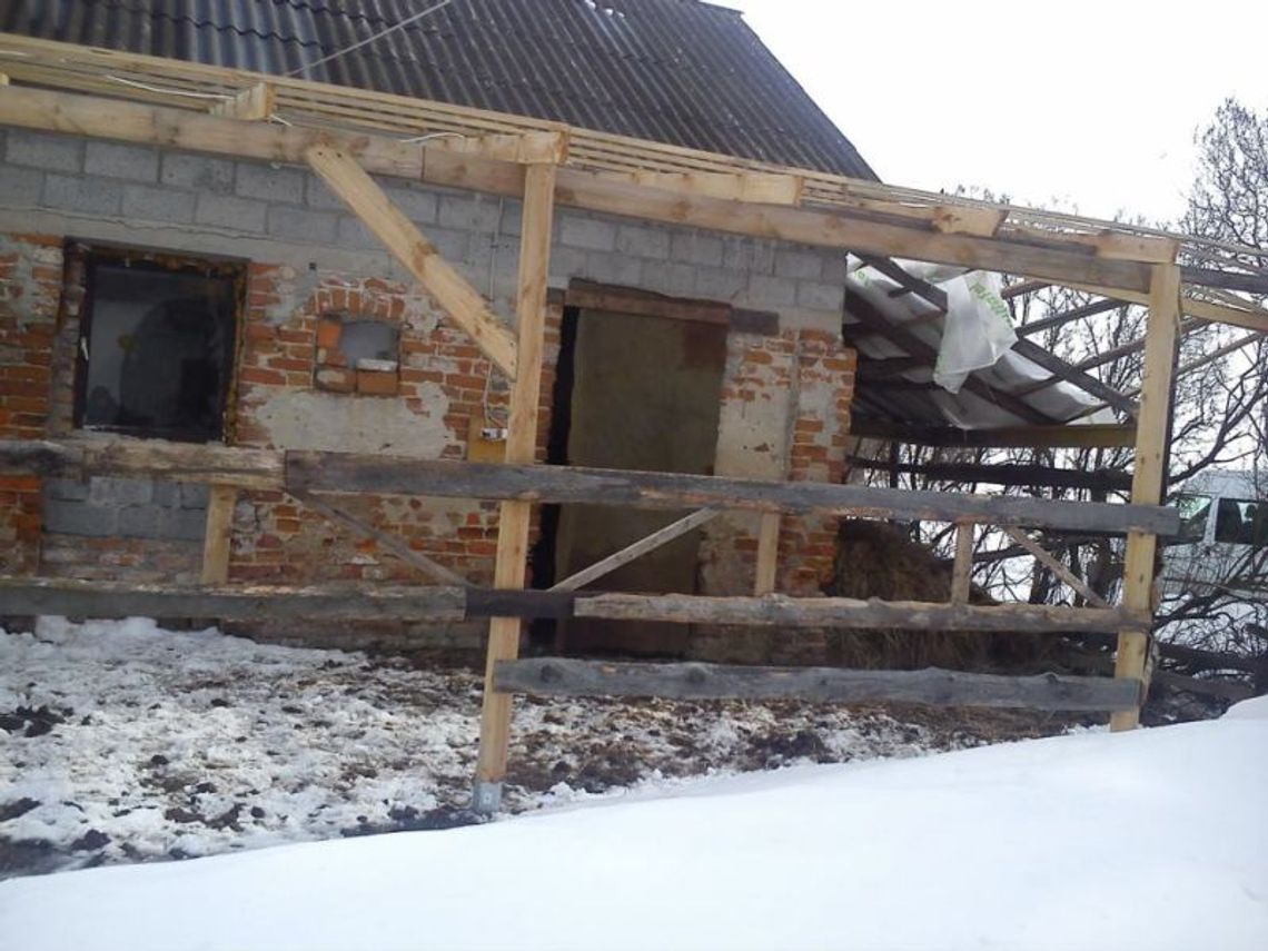 Mieniany: Zaniedbane konie zmieniły właściciela 