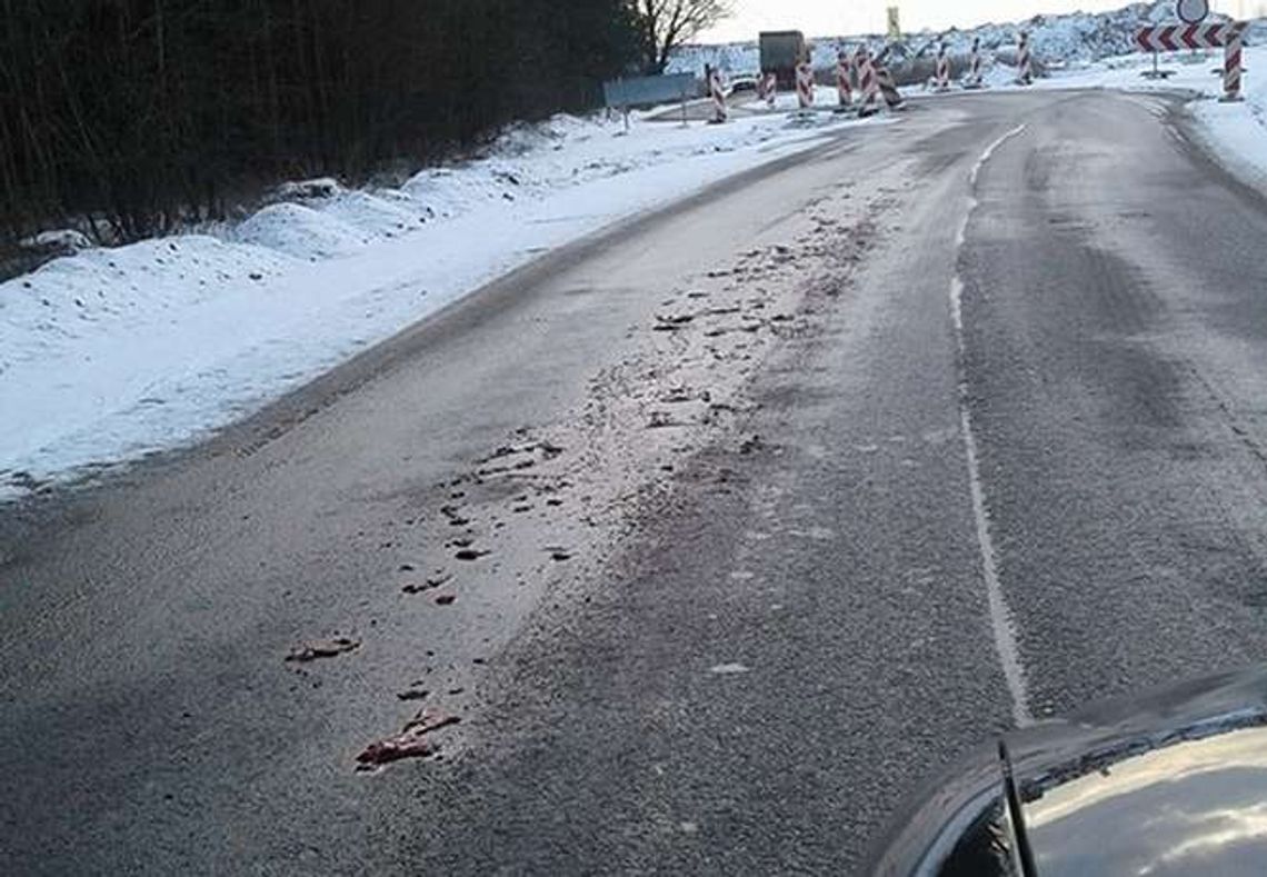 Mięso i krew na drodze. Już wiadomo, skąd się wzięły