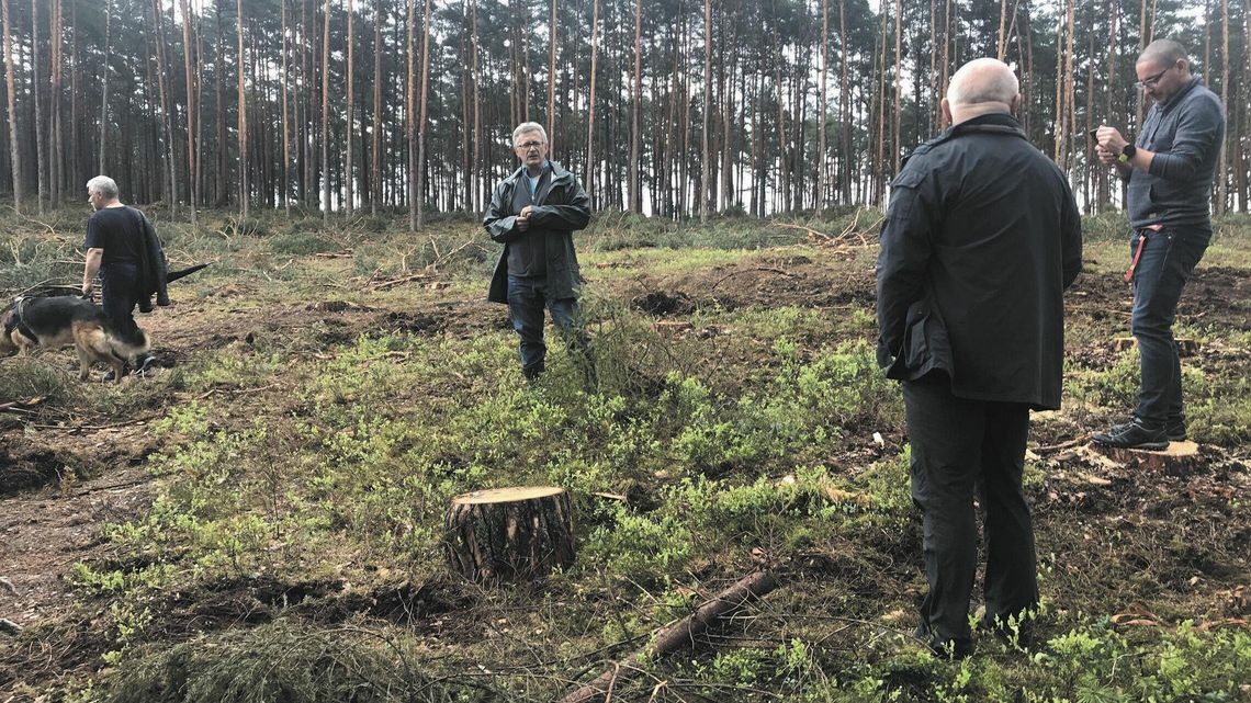 Mieszkańcy Biłgoraja żegnają się z lasem. "Oni nigdy nie widzieli, jak wygląda taki zrąb zupełny" [zdjęcia]