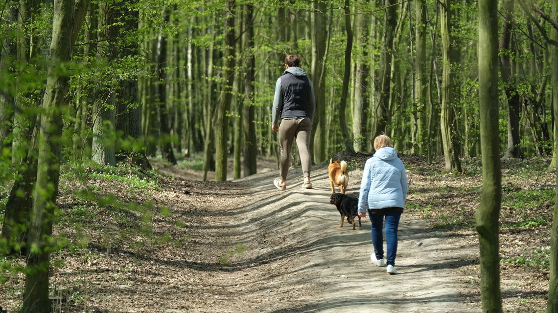 Mieszkańcy Lublina ruszyli do parków i lasów. Kiedy zostanie otwarty Ogród Botaniczny? Mieszkańcy Lublina ruszyli do parków i lasów. Kiedy zostanie otwarty Ogród Botaniczny?