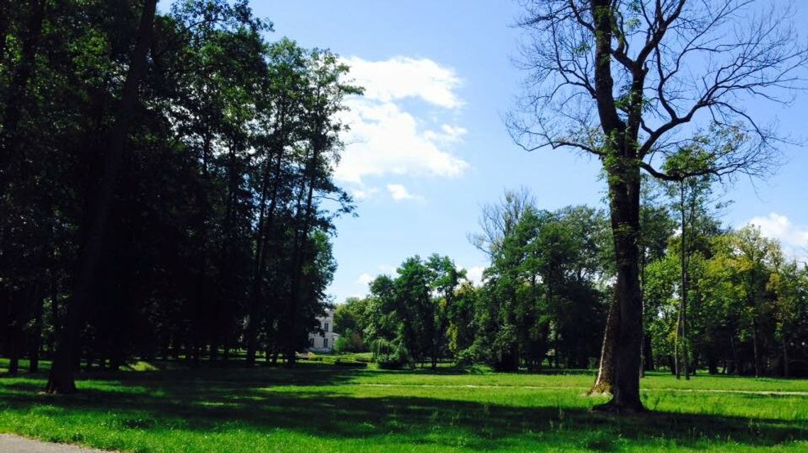 Mieszkańcy nie chcą spopielarni zwłok zwierząt koło parku. Inwestor wyjaśnia co tak naprawdę chce zbudować