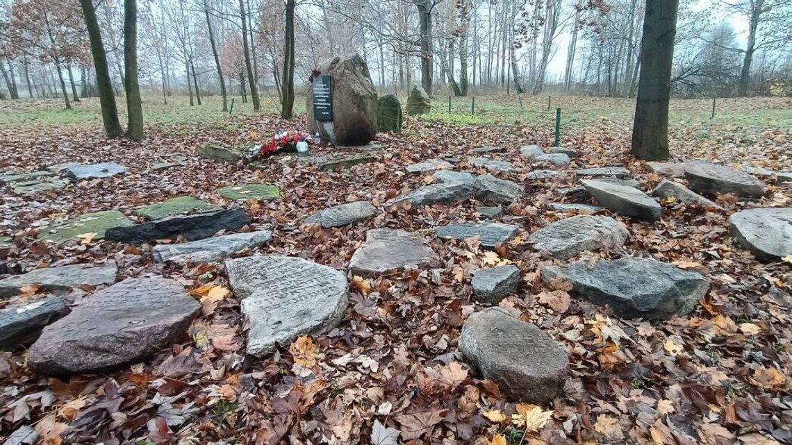 Mieszkańcy podczas remontów odnajdują macewy. Co będzie z nagrobkami? 